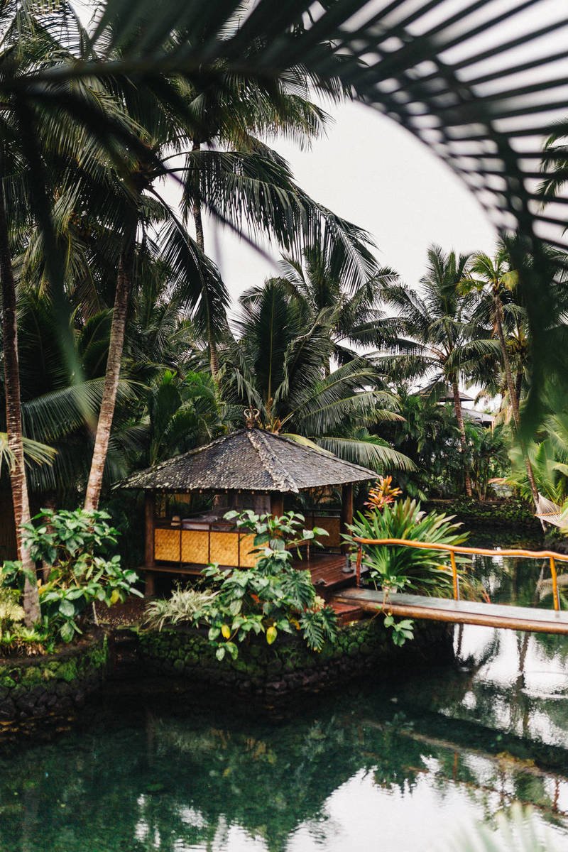 New Year Has Kicked In. Here Are The Celebrations Around The World New Year Has Kicked In. Here Are The Celebrations Around The World